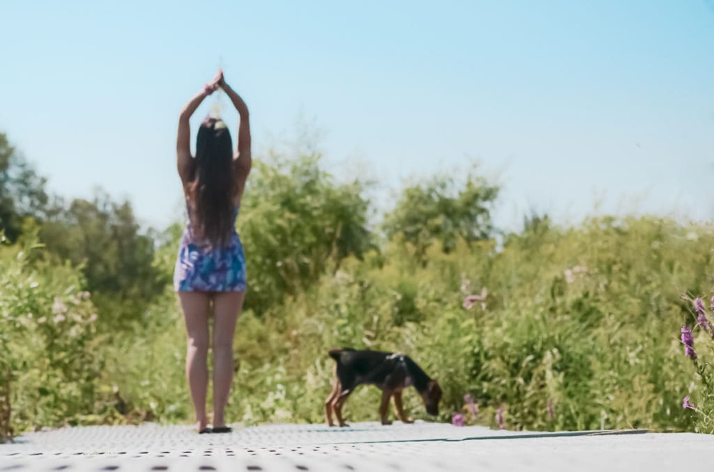 A woman facing a field of long grass with her arms in the air and puppy beside.