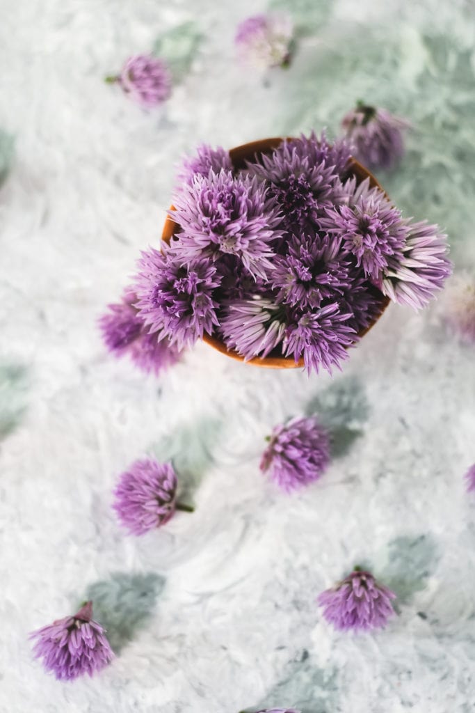 A small bowl overflowing with freshly picked chive blossoms.