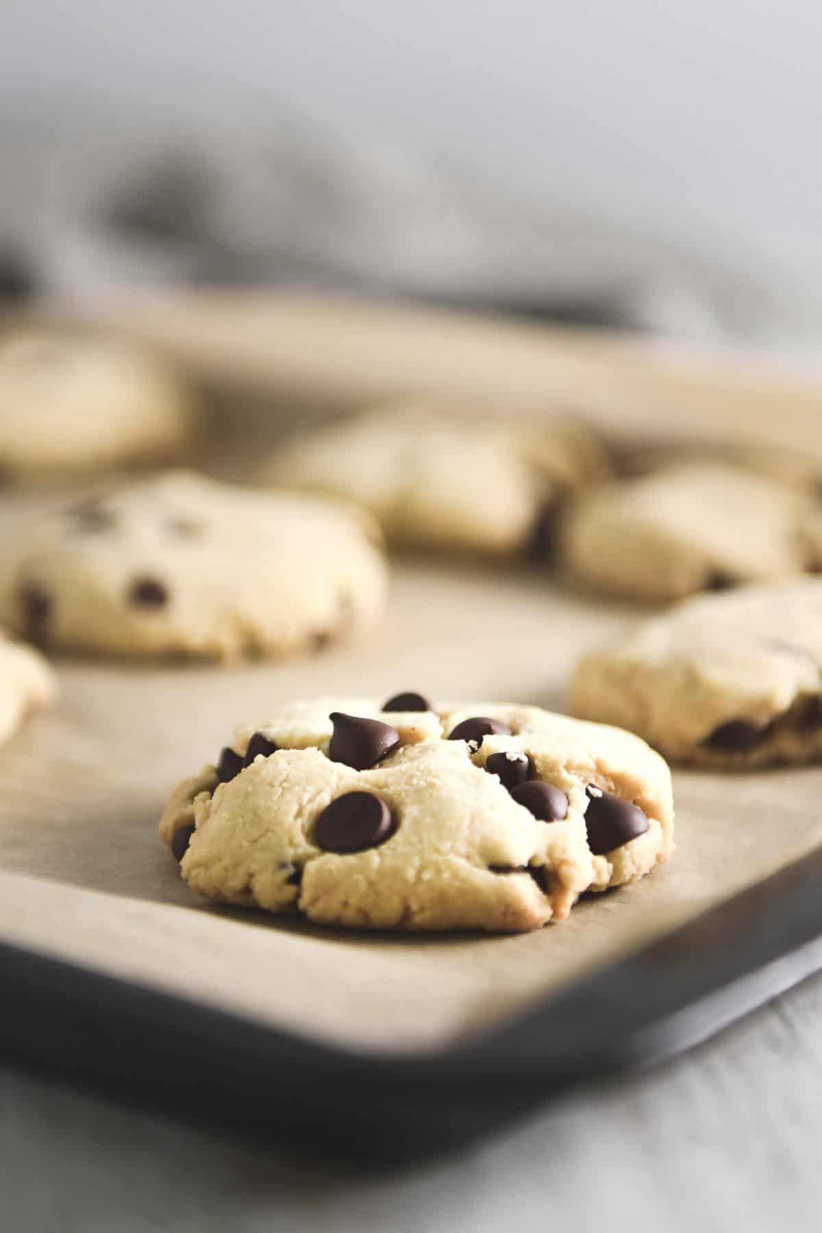 Freshly baked chocolate chip cookies spread evenly on a baking.