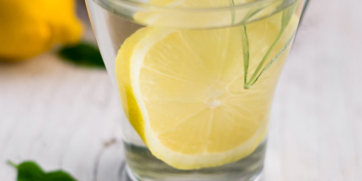 A glass tea mug filled with water, a slice of lemon and a sprig of rosemary.