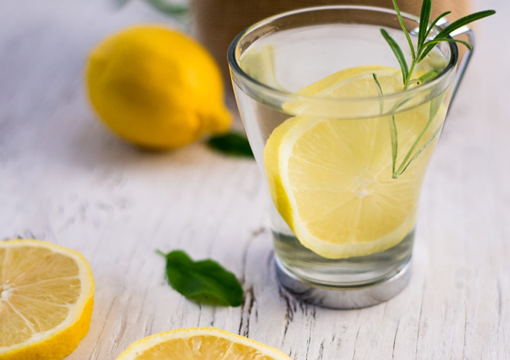 A mug of water with a slice of lemon and a rosemary sprig.