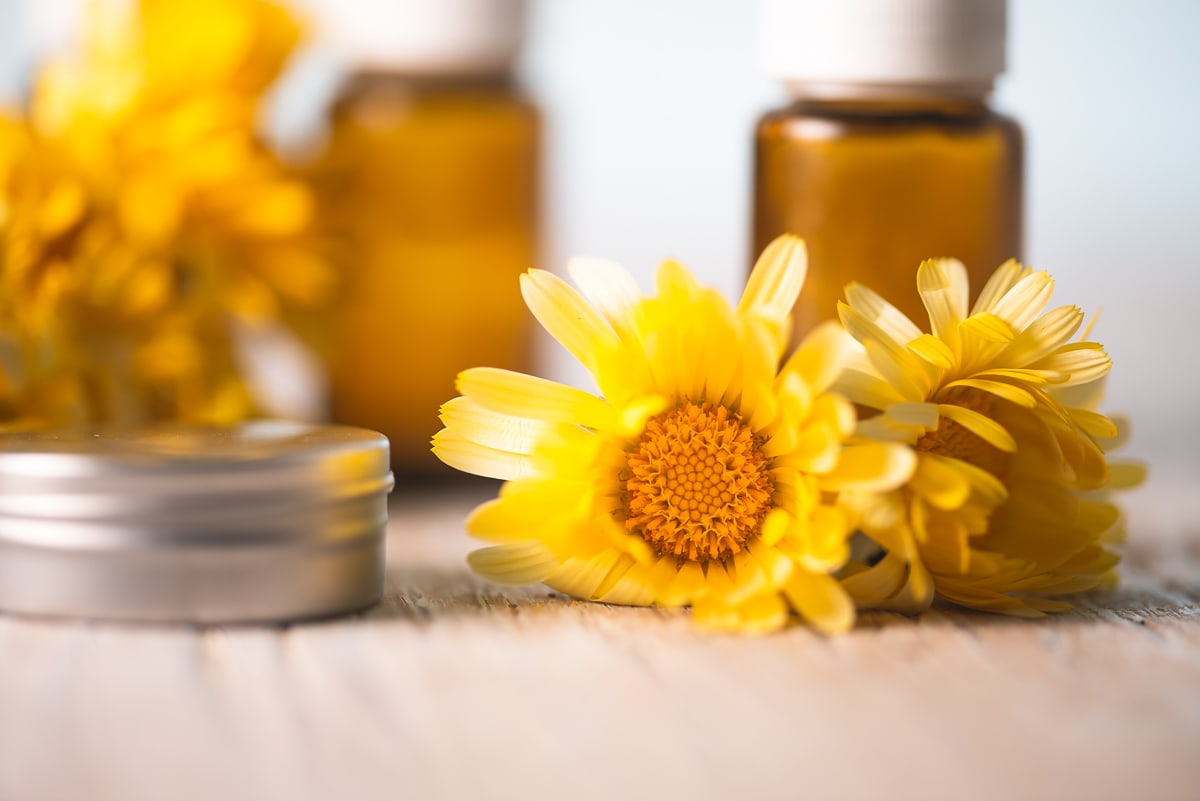 Yellow Calendula flowers sitting in front of essential oil bottles and beside a metal tin.