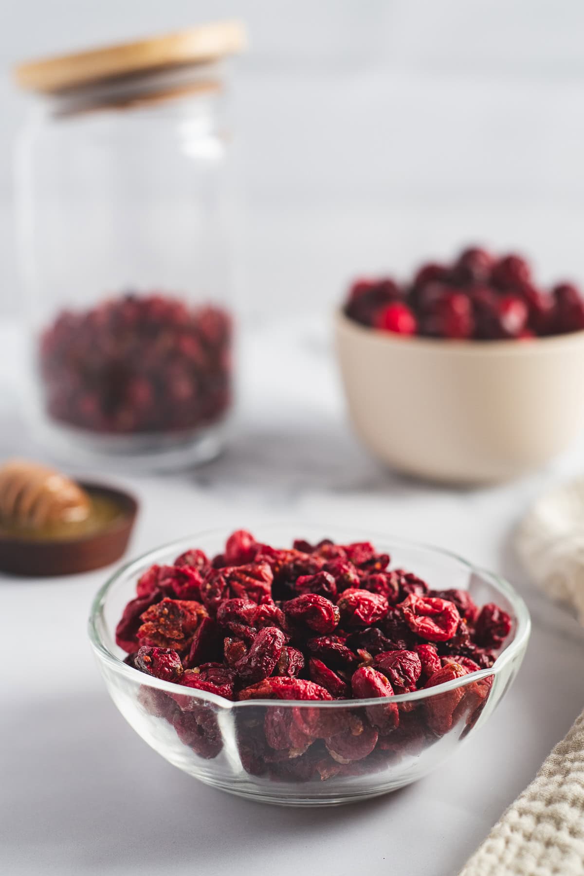 A bowl of dried cranberries in front of a honey dipper, a jar and a bowl of fresh cranberries.